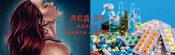 стаф Горнозаводск