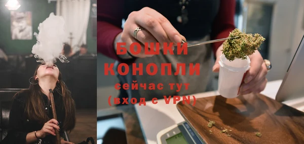 ГАЛЛЮЦИНОГЕННЫЕ ГРИБЫ Горняк