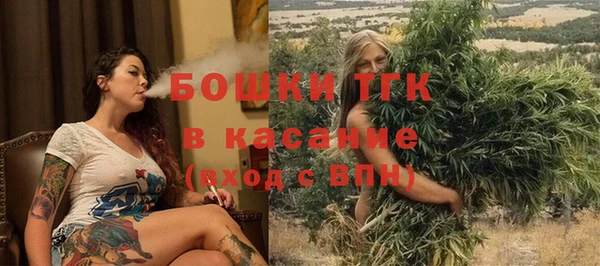 стаф Горнозаводск