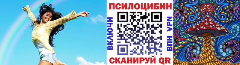 Галлюциногенные грибы Psilocybe  hydra онион  Новохопёрск  купить  
